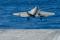 CF-3 climbs away from the ship’s bow following a launch from catapult number 2. The prominent “69” on the end of the flight deck denotes this carrier as CVN-69.