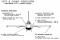 When blended wing-body lift is integrated with vortex-flow-induced lift, even higher lift per unit of exposed wing is produced at lift coefficients above 0.6. Although the geometric wing loading is 60 pounds per square foot, the effective wing loading resulting from these vortex benefits is 50 pounds per square foot at Mach 0.9 and 41 pounds per square foot at Mach 1.2. To generate the same amounts of lift, an equivalent wing would need both a higher aspect ratio and more area. Such a wing would increase the empty weight of the airplane by 490 pounds. Wind tunnel testing verified additional lift and a significant improvement in pitching moment. Similarly, the wind tunnel results verified the directional stability improvement and showed a big buffet improvement that permitted maneuvering at maximum lift with only mild buffet effects.